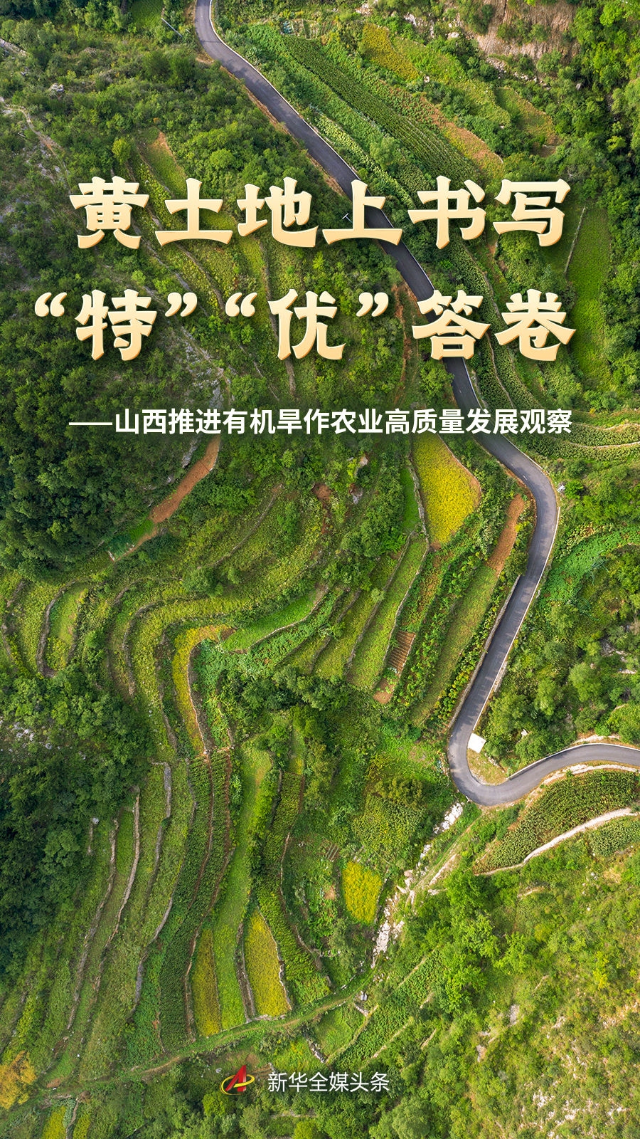 如何通过专业分析提升体育赛事认知 - kaiyun